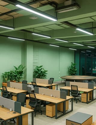 Startups & SMEs